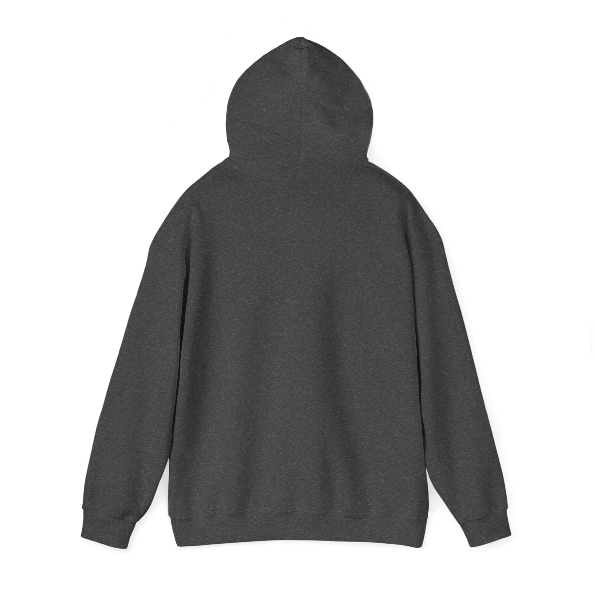 Men’s Kingdom University Hoodie — Collegiate Arc Logo Pullover