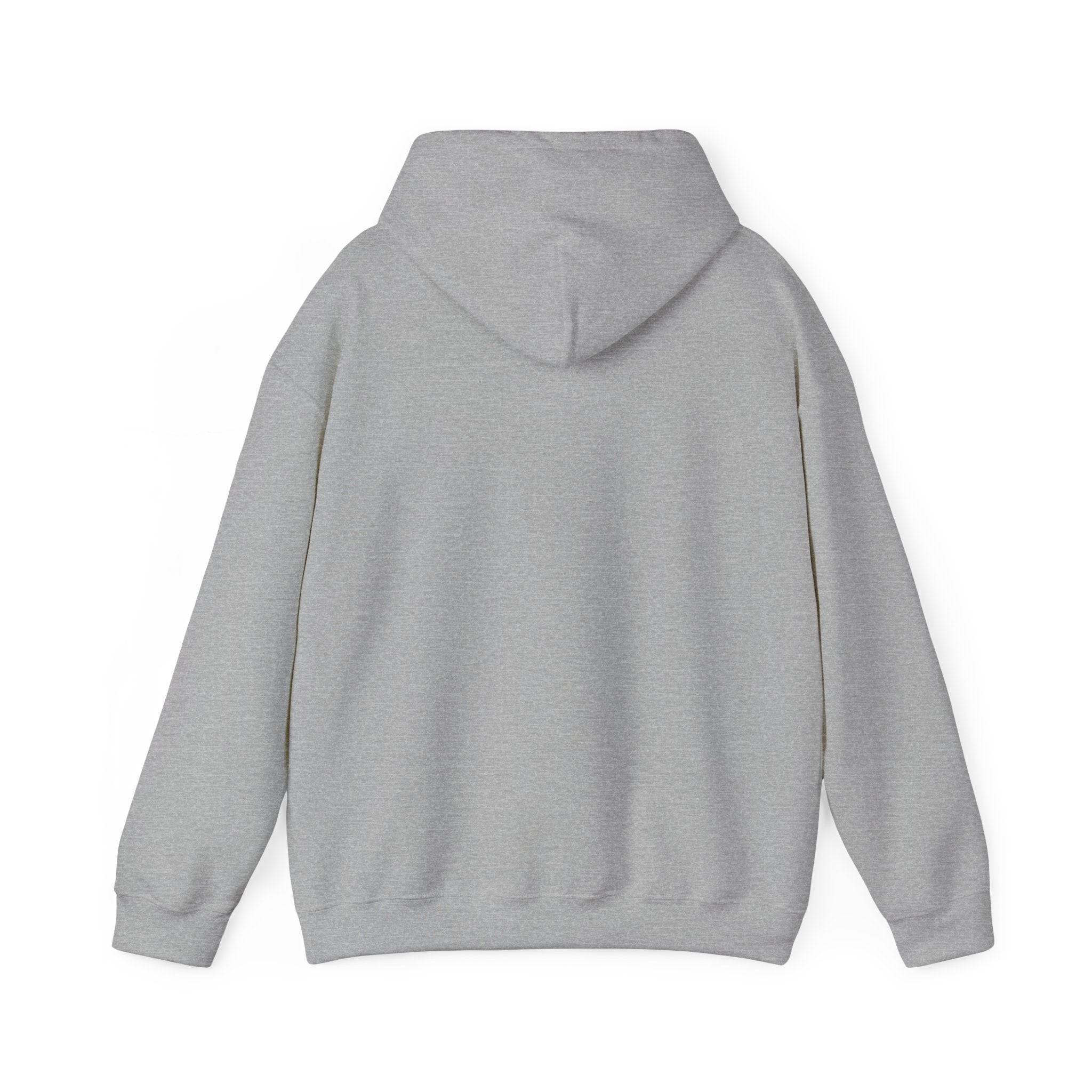 Hingdom University Hoodie — Minimal Collegiate Pullover