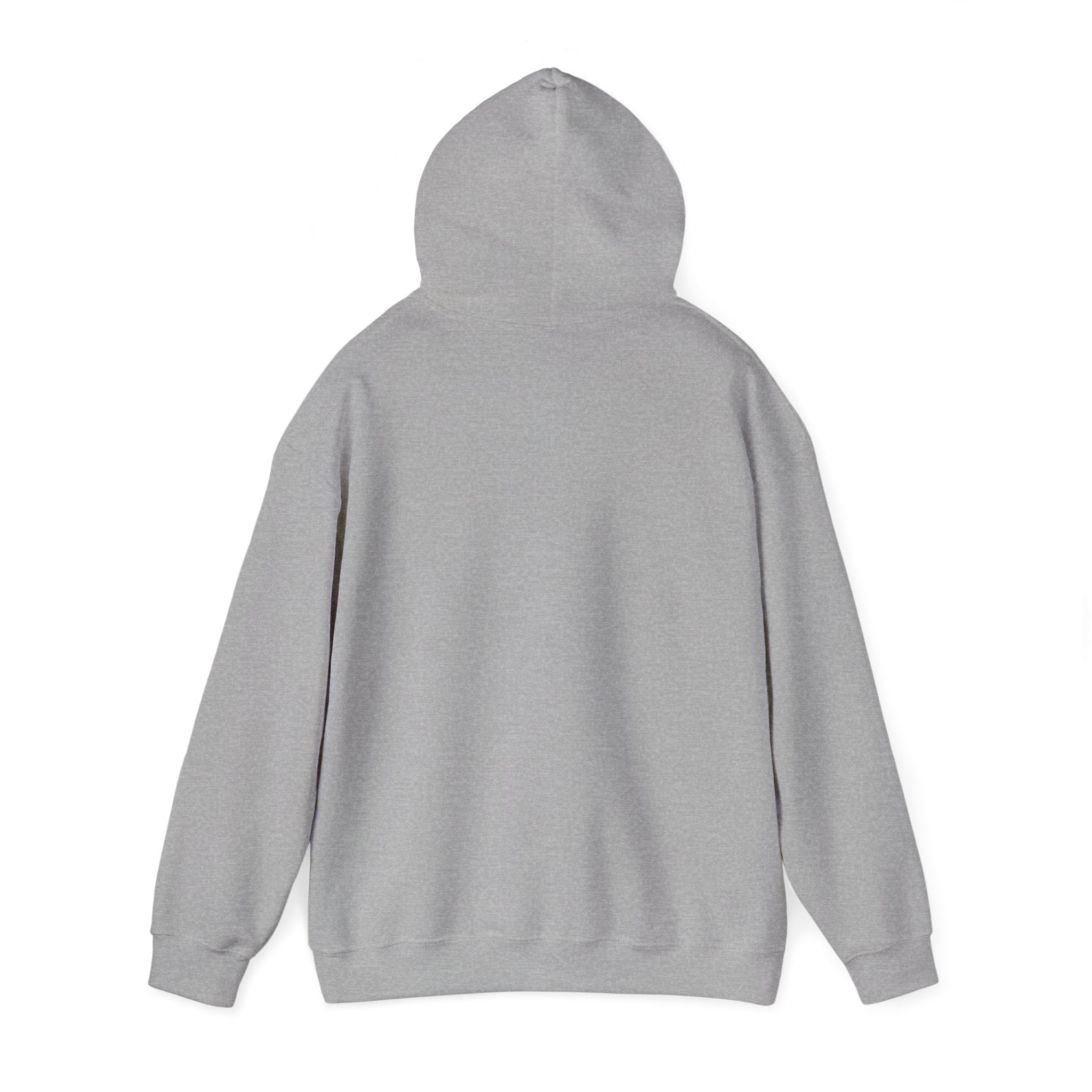 Hingdom University Hoodie — Minimal Collegiate Pullover