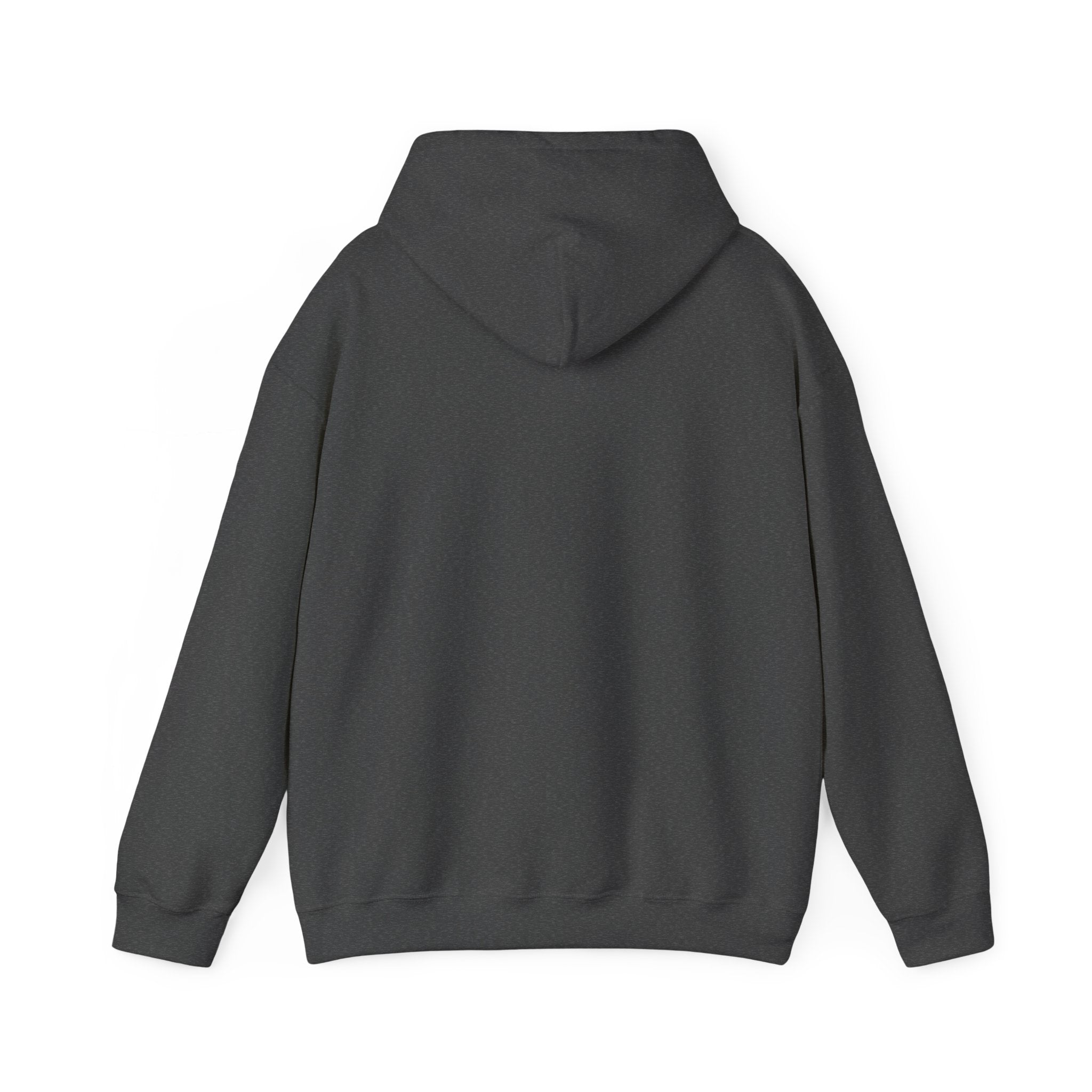 Men’s Kingdom University Hoodie — Collegiate Arc Logo Pullover