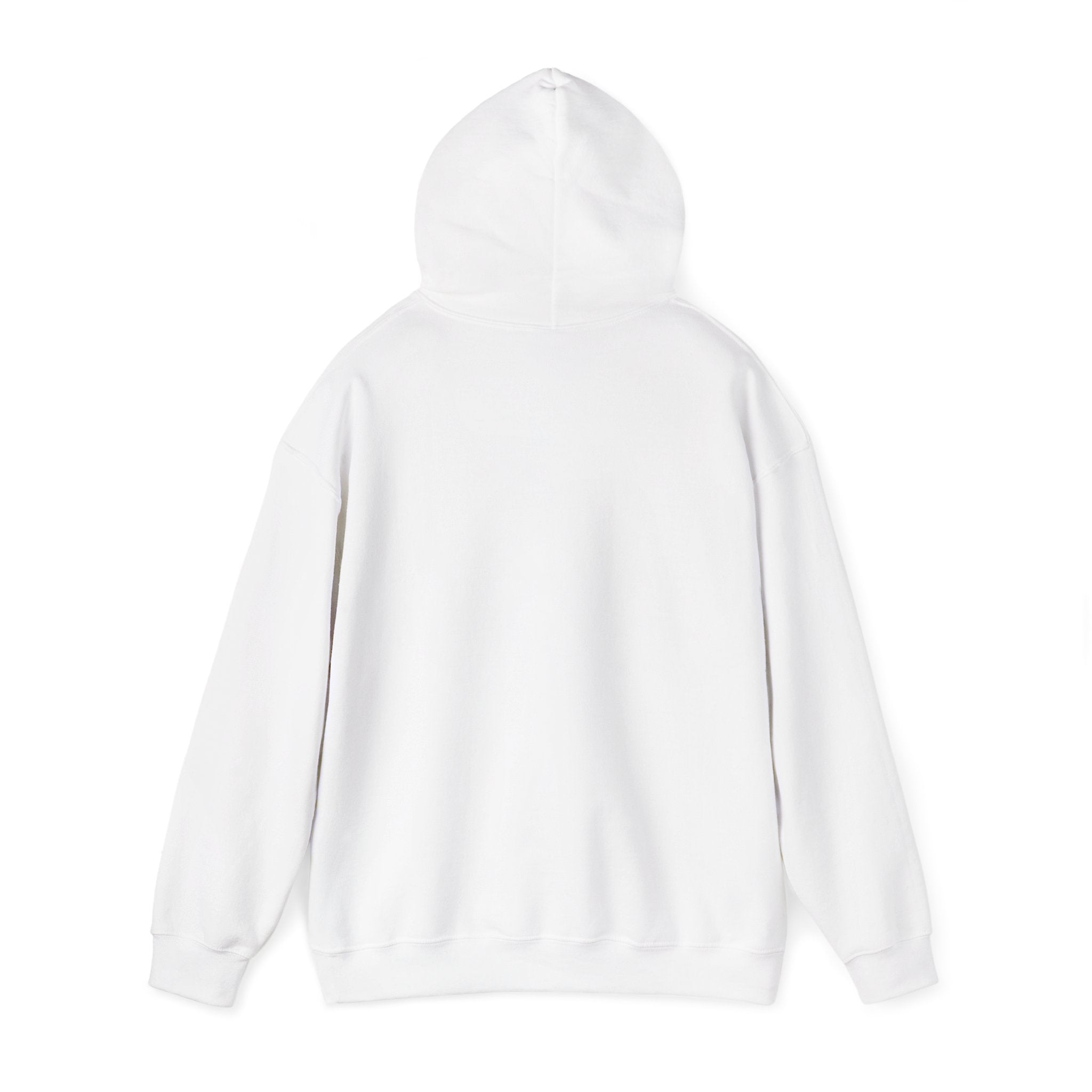 Hingdom University Hoodie — Minimal Collegiate Pullover
